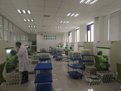 構(gòu)樹扶貧新策 蘭考產(chǎn)業(yè)項(xiàng)目考察記